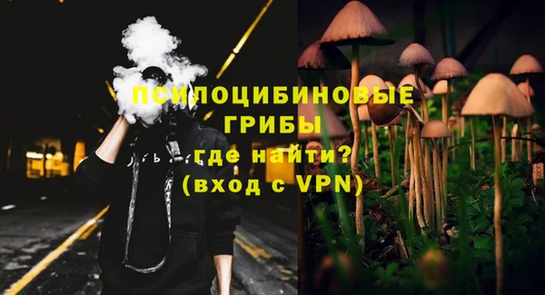 СК Вязьма